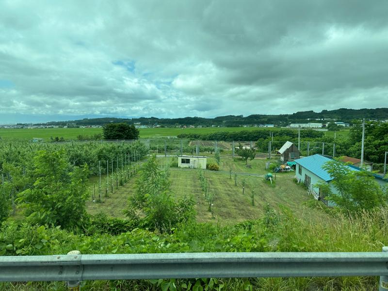 The tour itself was very rushed and way too many bullet trains