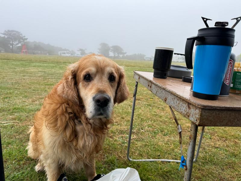 Teneriffe Farm Campsite