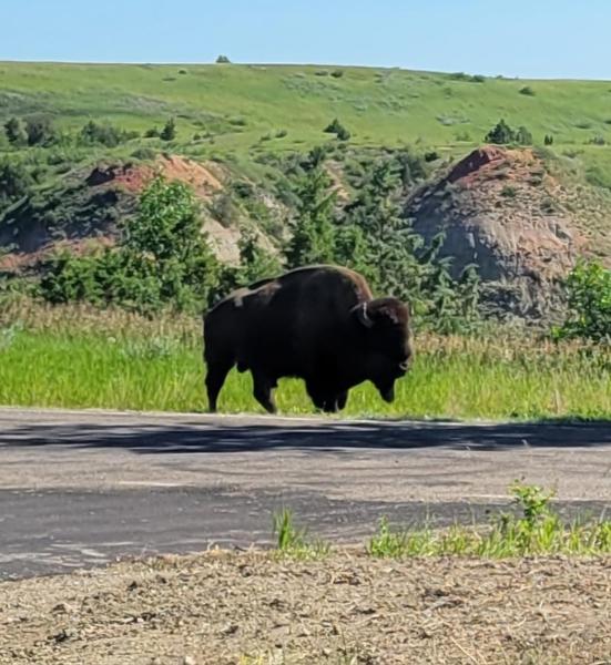 National Parks and Native Trails of the Dakotas