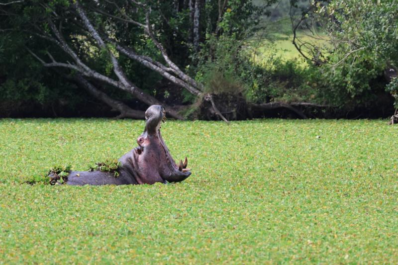 Trip of a lifetime to Kenya!