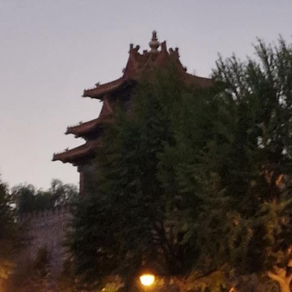 Dragon trips China