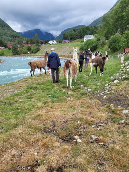 Your tour in Skjolden - Norwegian Mountain World