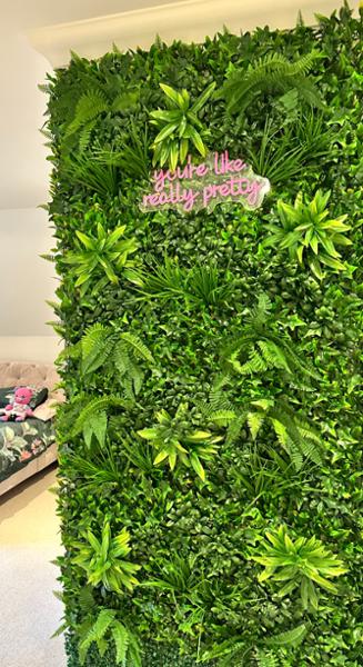 1m x 1m  premium fern living wall