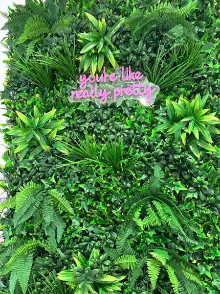 1m x 1m  premium fern living wall