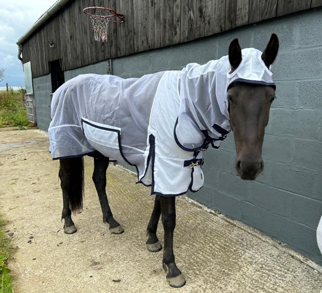 Ultra Light Combo Fly Rug With Ear Holes