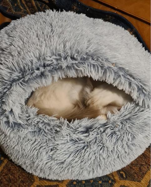 Snooza Calming Hoodie Cat Cuddler Silver Fox - S