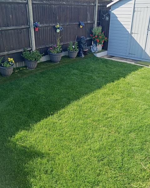 Great looking lawn ,well worth doing.