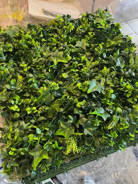 Premium Artificial Ivy Green Living Wall Panel 50 x 50cm