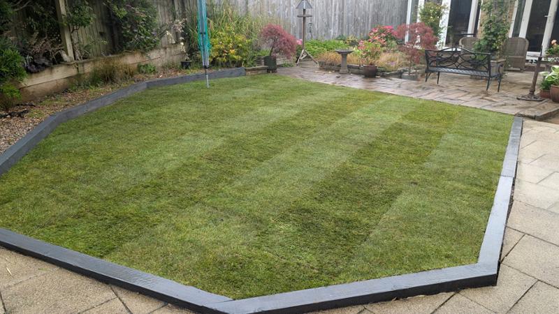 Turf for a small garden