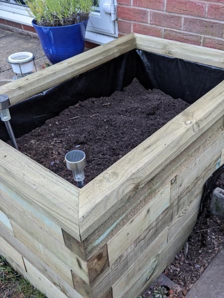 Lovey raised beds