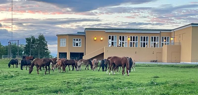 Hotell Jeløy Radio