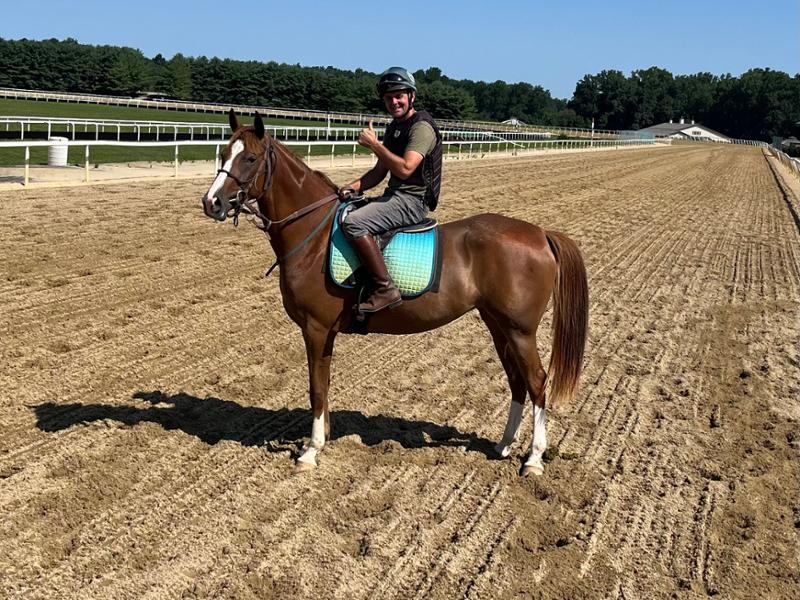 WEATHERBEETA PRIME OMBRE DRESSAGE SADDLE PAD OCEANS REEF FULL