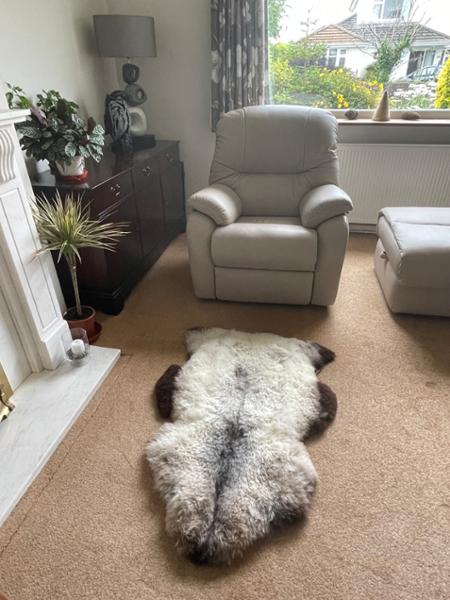 Beautiful Welsh sheepskin