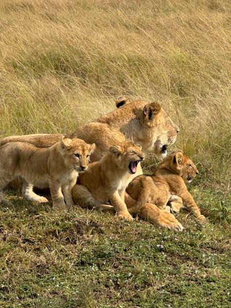 Schueller Family African Safari