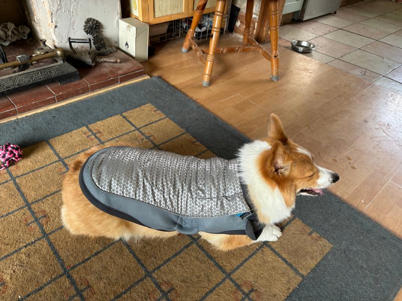 Cooling coats