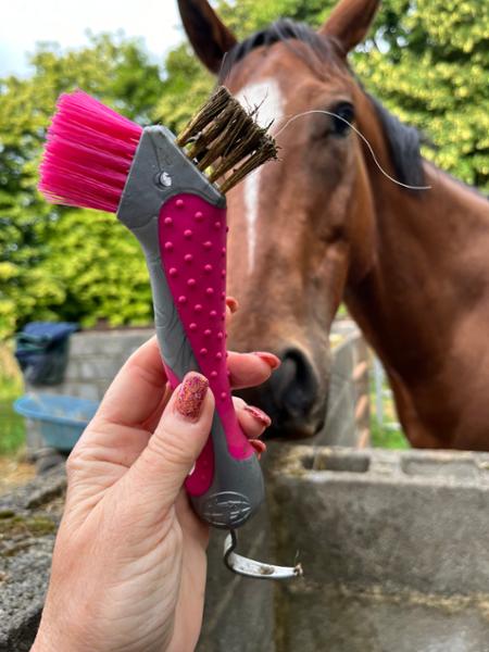 Imperial Riding Hoof Pick Scraper-Turquoise