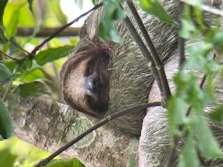 Costa Rica A World of Nature on 08/17/2024