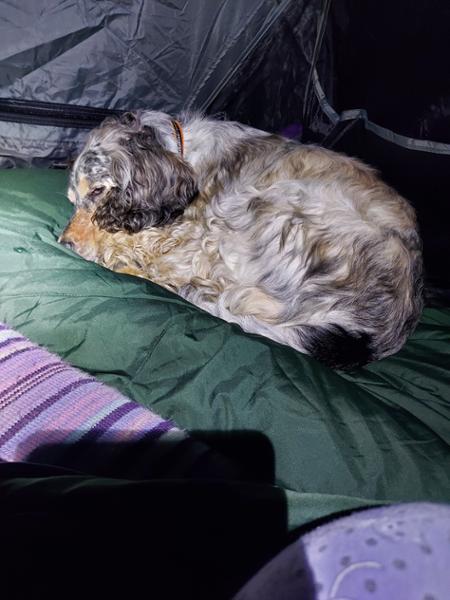 Wasdale Campsite