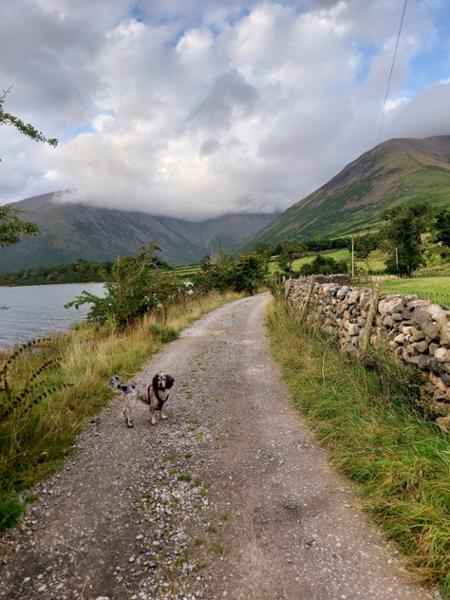 Wasdale Campsite