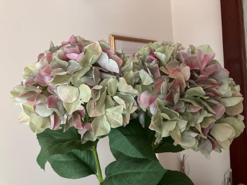 My French hydrangea display.