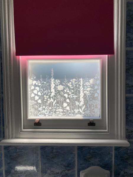 Hedgerow window film