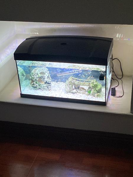 New Aquarium Purchased