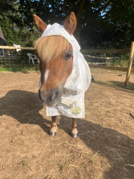 Lovely rug, feels very thick material but keeps the midges etc out