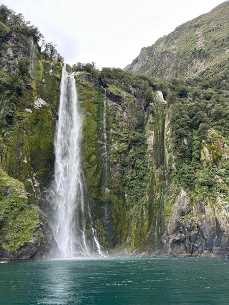 Small Group Milford Sound Coach Cruise Fly - Queenstown