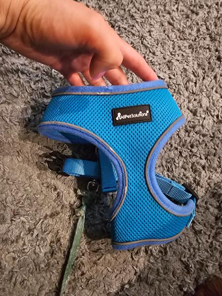 Dog Harness with Reflective Strip-Blue-Medium