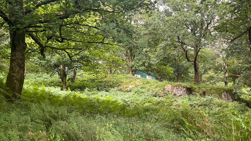 Hafod Y Llan Campsite