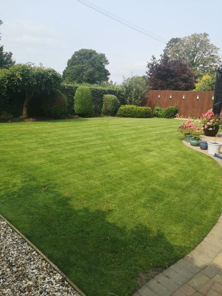 Tough Stuff Lush Lawn 5kg