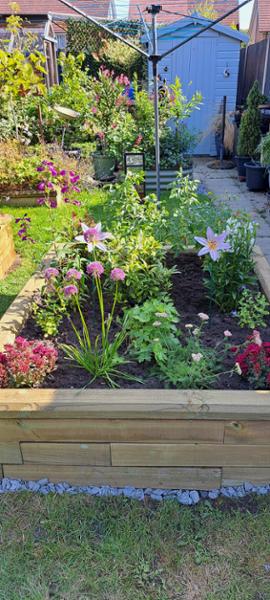 Great raised beds