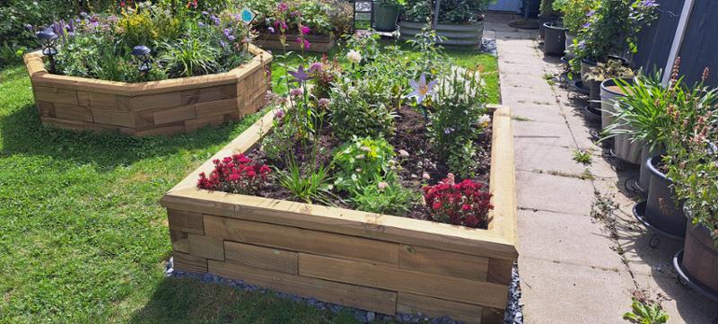 Great raised beds