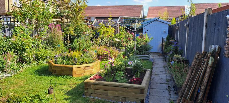 Great raised beds