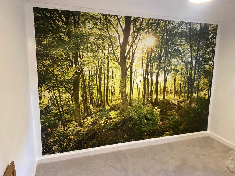 Enchanted Woodland - 124 x 82inch Premium 'Paste the Wall' Mural