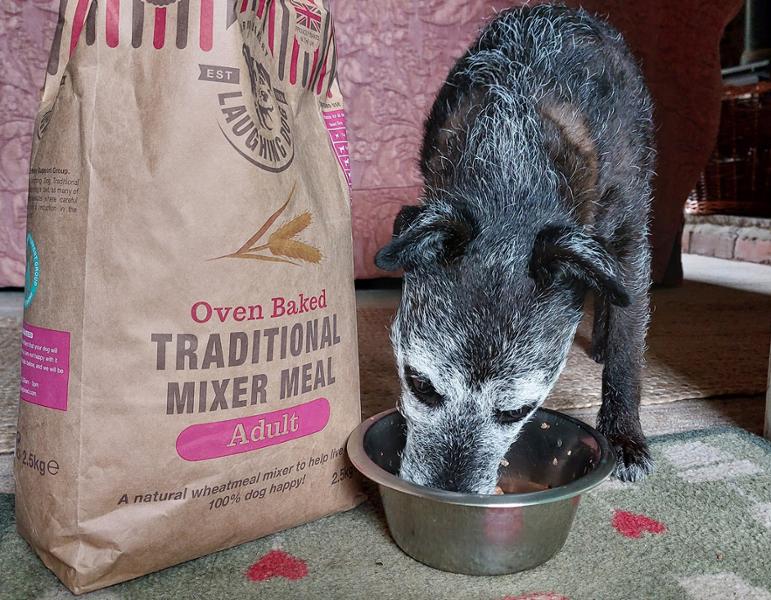 Traditional Mixer Meal for Dogs