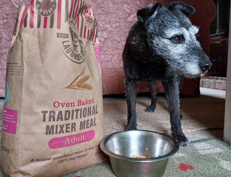 Traditional Mixer Meal for Dogs