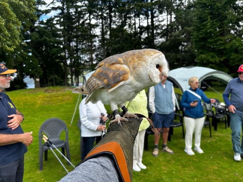 Scottish Highlander is a Bucket List Must!