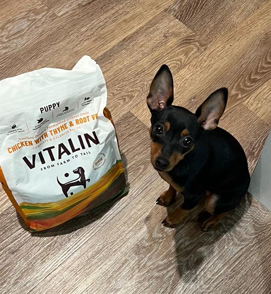 Vitalin Small breed dog food.