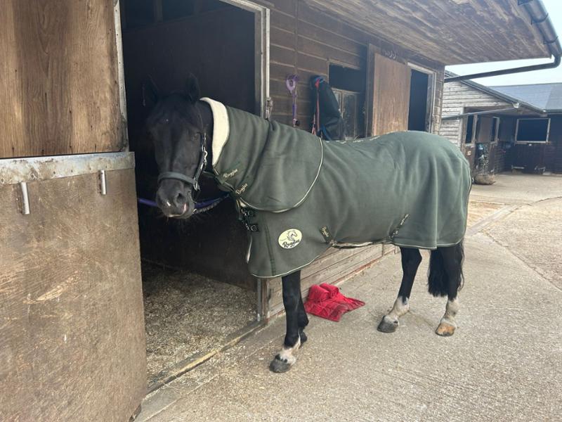 Lovely rug and neck nice colour and we’ll made and very soft and a good fit