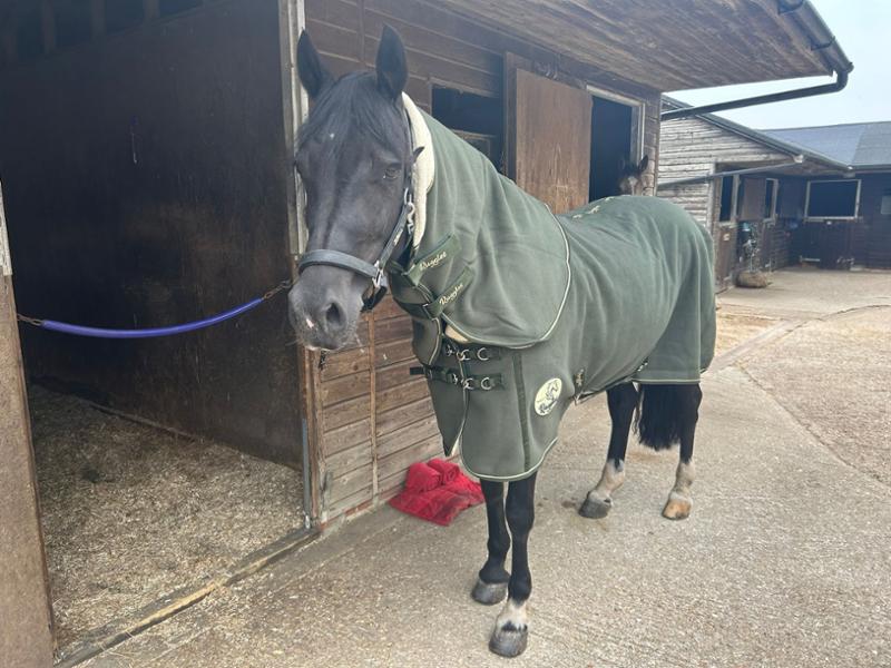 Lovely rug and neck nice colour and we’ll made and very soft and a good fit