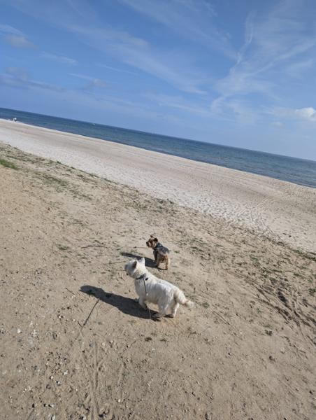 Schöner Urlaub