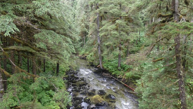 Your tour in Skagway - To the Klondike Summit