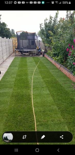 Best natural turf for UK's lawns.