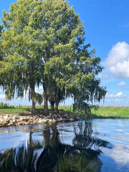 Ultimate Airboat Ride with Transportation