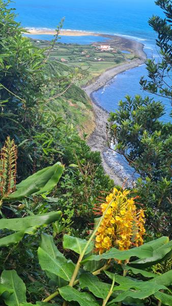 Walking in the Azores