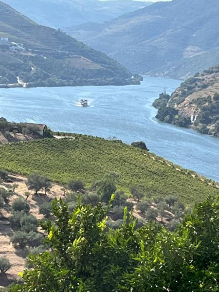 Douro, Porto & Salamanca River Cruise