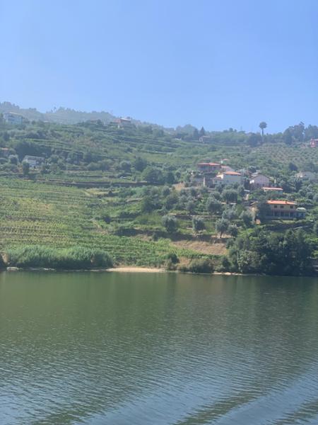 Douro, Porto & Salamanca River Cruise