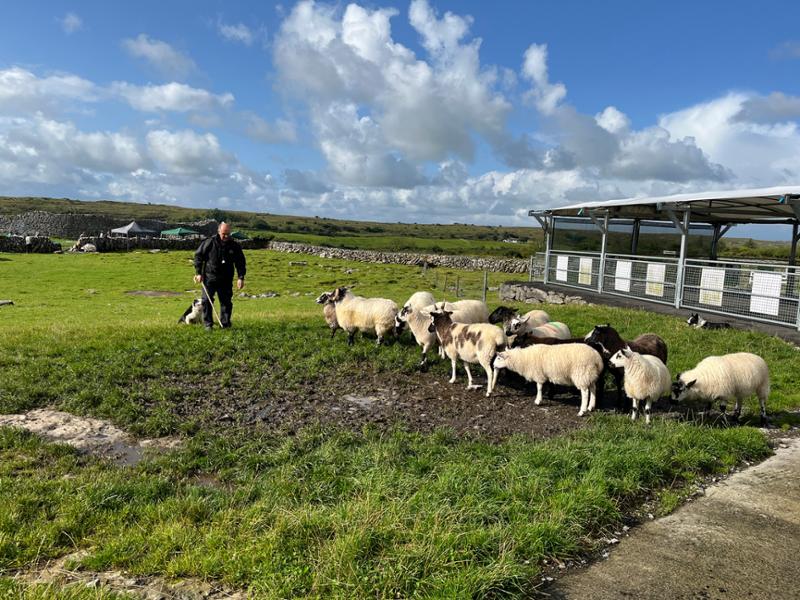 Idyllic Ireland