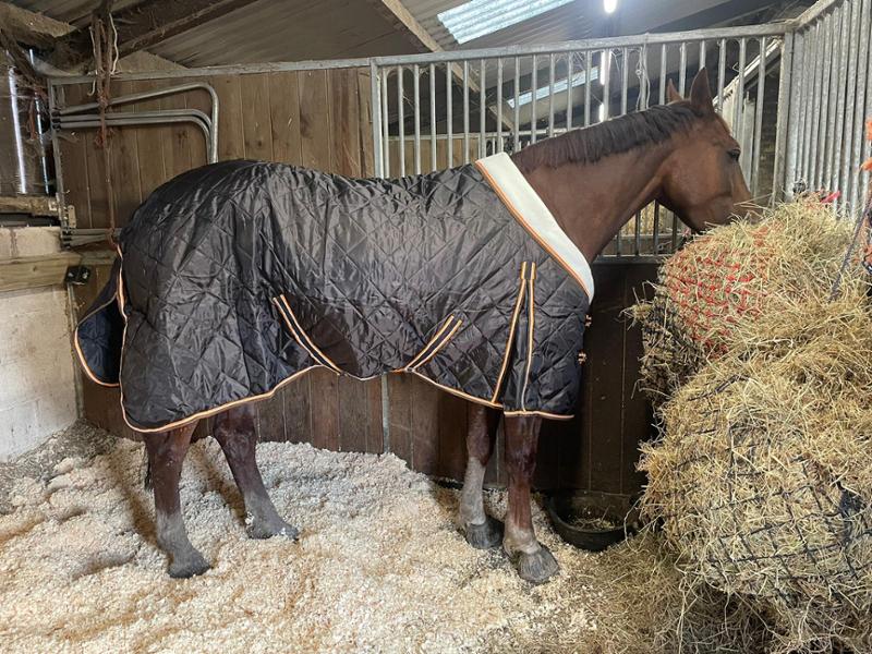 Heavy Horse 200g Middleweight Stable Rug With Fleece Collar